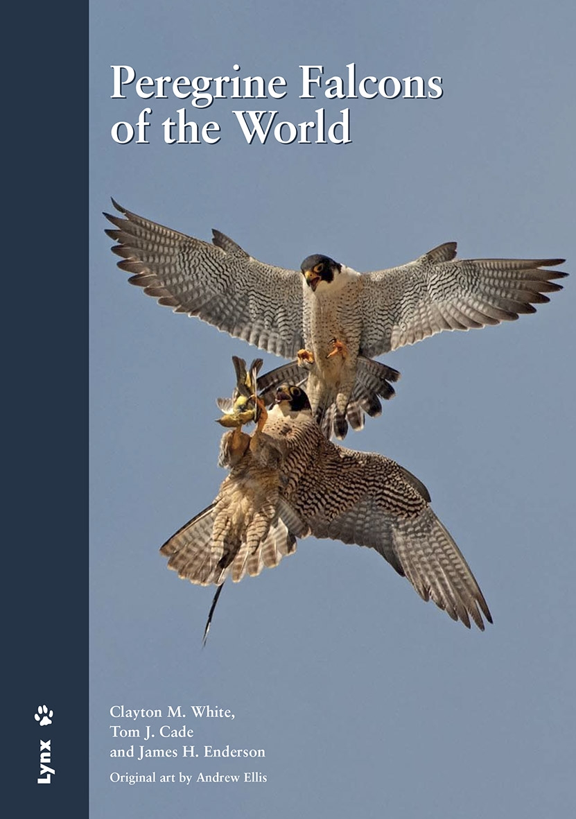 Peregrine Falcons of the World