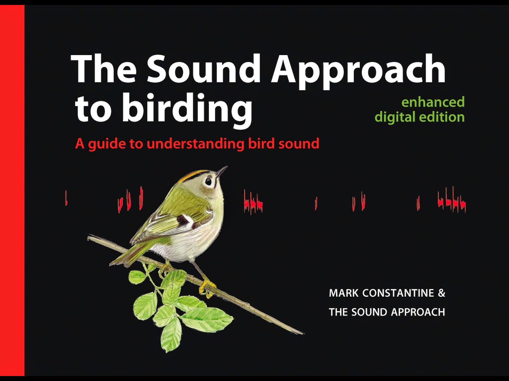 The Sound Approach to Birding