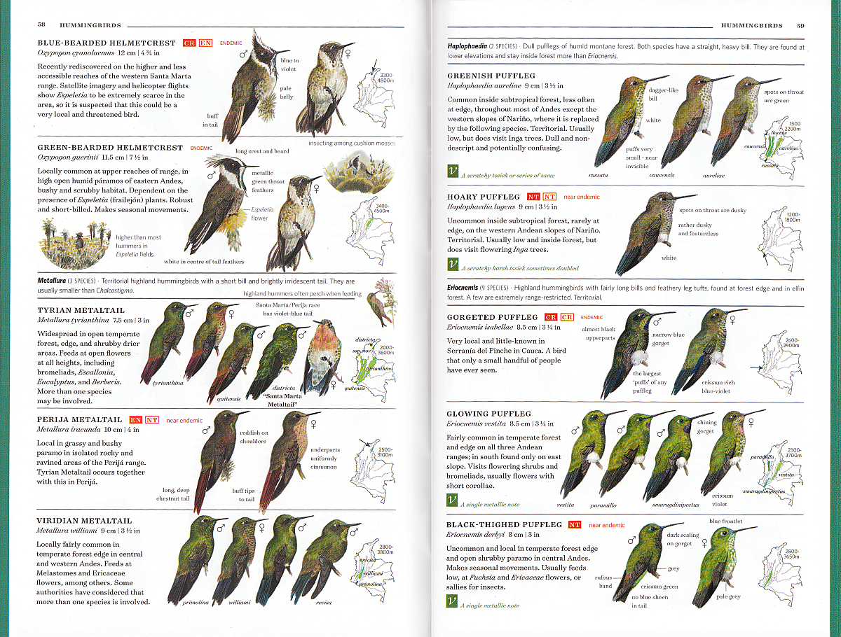 Field Guide to the Birds of Colombia (3rd edition) - Dutch Birding