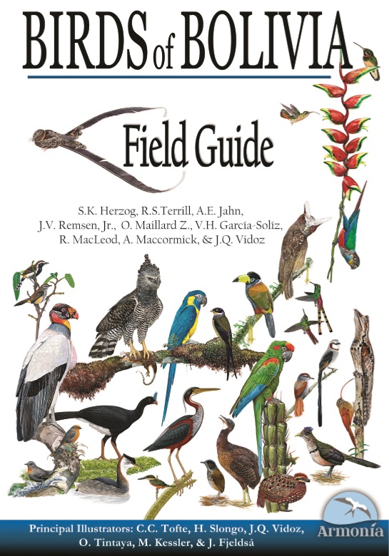 Birds Of Bolivia Field Guide Dutch Birding