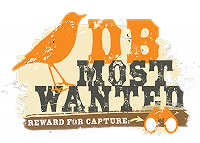 Renvogel - Most Wanted