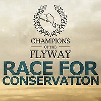 Dutch Birders in de Champions of the Flyway birdrace!