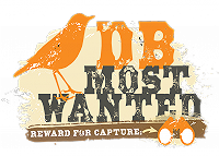 Goudlijster - Most Wanted