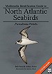 North Atlantic Seabirds - Multimedia Identification Guide to Pterodroma Petrels