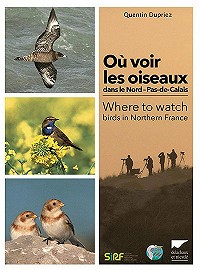 Où voir les oiseaux dans le Nord-Pas-de-Calais / Where to watch birds in Northern France