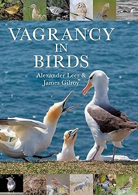 Vagrancy in birds