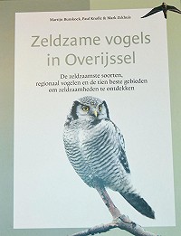 Zeldzame vogels in Overijssel