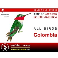 All Birds Colombia