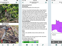 Birds of Zambia app