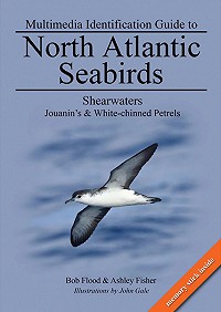 Multimedia Identification Guide to North Atlantic Seabirds: Shearwaters, Jouanin's & White-Chinned Petrels