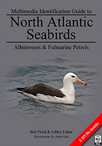 North Atlantic Seabirds - Multimedia Identification Guide to Albatrosses & Fulmarine Petrels. 