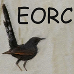 Egyptian Ornithological Rarities Committee